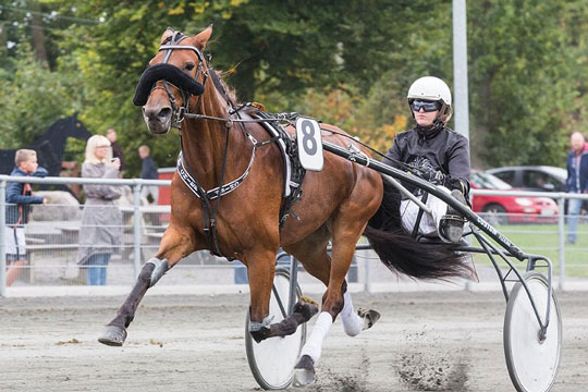 Kvindelig champions heste n�r ikke �bningsdagen