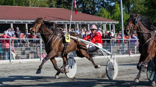 �rets hest p� travbanen n�r ikke �bningsdagen