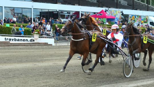 Fortsat stor investeringslyst i anpartsheste