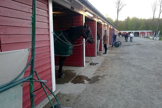 Tidlig s�sonstart p� travbanen var succes i fjor