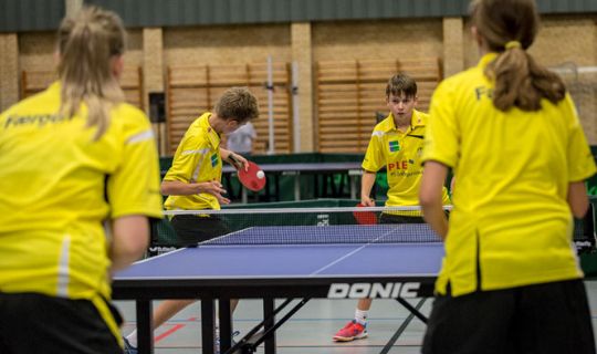 Bordtennis: To-mandsh�r i elitedivision