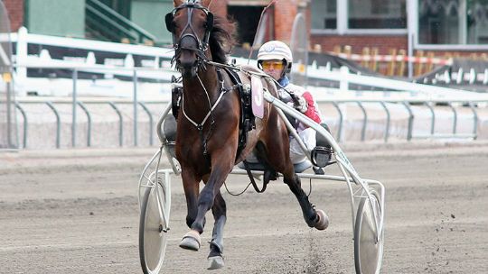 Delvis bornholmskejet derbypr�mietager tilbage i l�bene