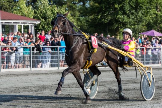 Endnu en hest solgt til travskolen i K�benhavn