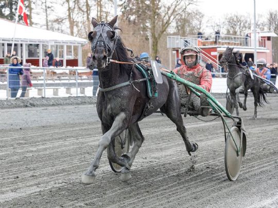Sikker sejr til Wega Wang i Golden League