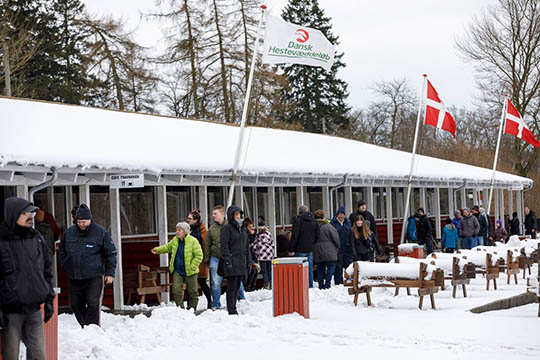 Over 700 trodsede vintervejret p� travbanen