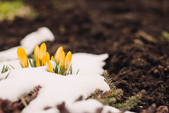 April er lig med omskifteligt vejr