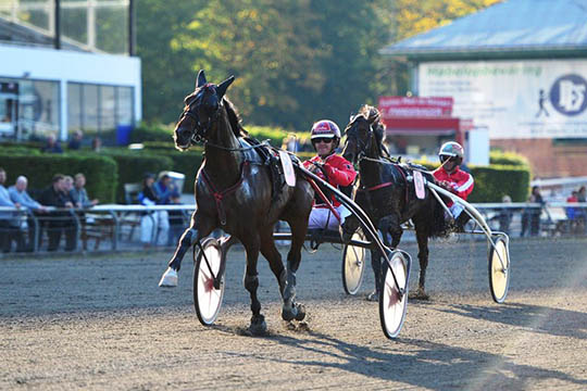 Bornholmsk derbyfavorit �bner s�sonen p� tirsdag