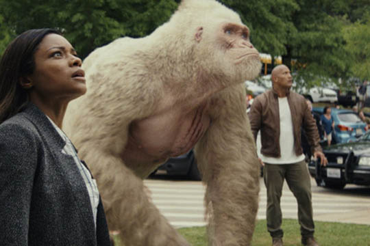 K�mpegorilla i R�nne Bio