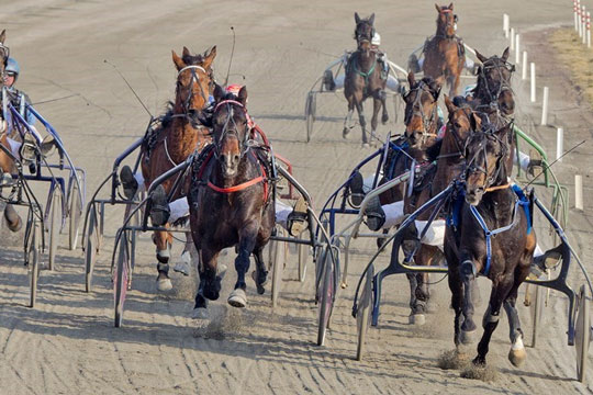 Tre andelsstalde k�ber anparter i Lundens andelsheste