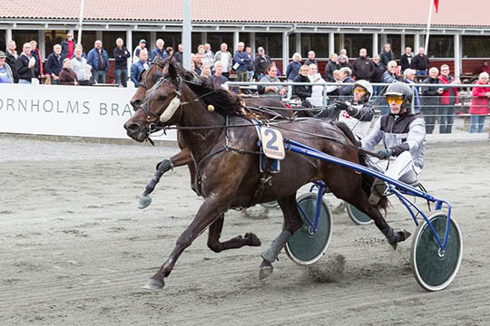 Hest udg�r i dagens l�b p� travbanen
