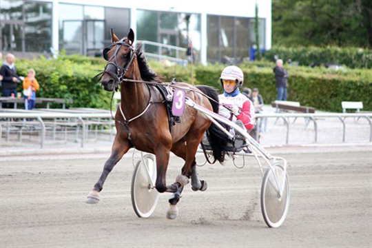 Delejet bornholmsk travhest unterdog i dag