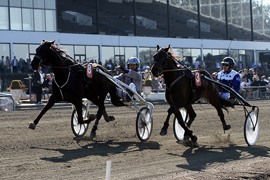 Bornholmersejr i hovedstaden