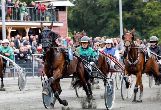 Enkelt afbud til travløbene i aften