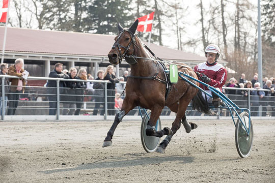 Travbanen i kollision med anden dansk bane p� l�rdag