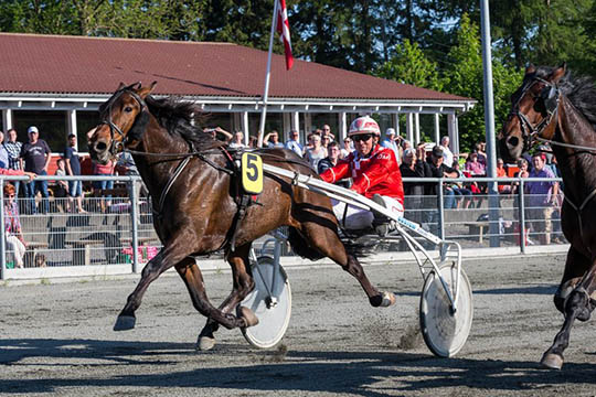 Faderen til �rets travhest p� Bornholm er d�d