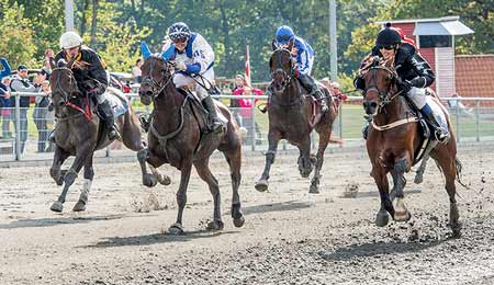 Flere nye heste til start p� travbanen