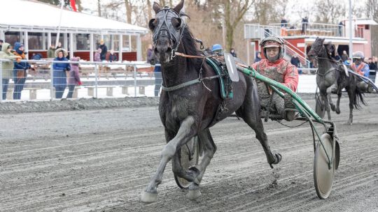 Formst�rke John Gommans pr�ver lykken i Sverige