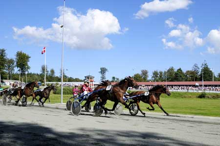 Et afbud til travbanen i dag