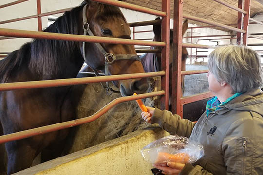 Hurtigtraver fik for�rsbes�g i stalden