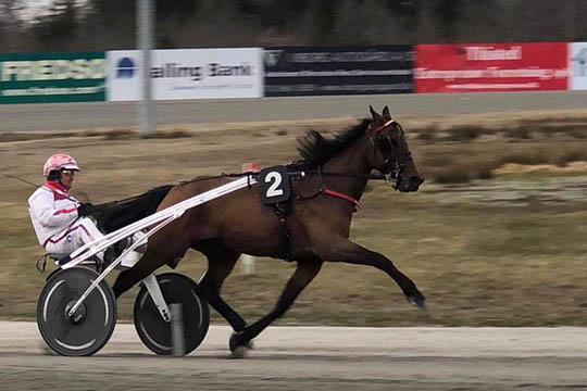 Ny sejr til bornholmsk opdr�ttet travhest
