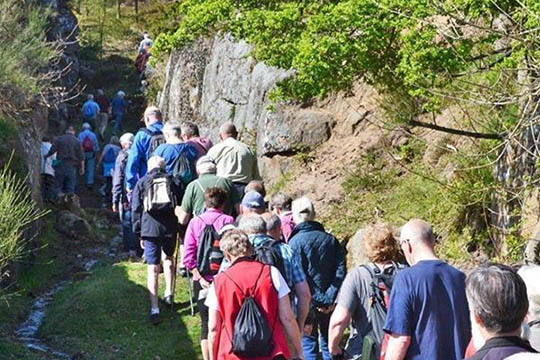 Guidet tur langs Stenhuggerstien