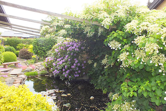 Husk at vande fuglene