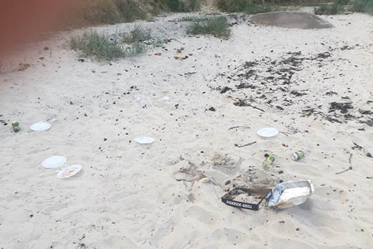 Naboer tr�tte af unge strandsvin