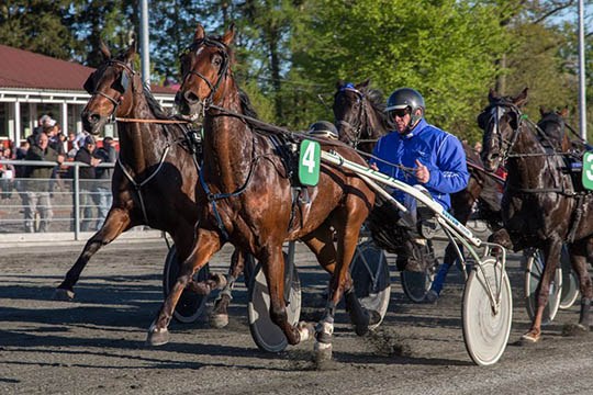 Picasso Jetset med kvindelige kusk for f�rste gang