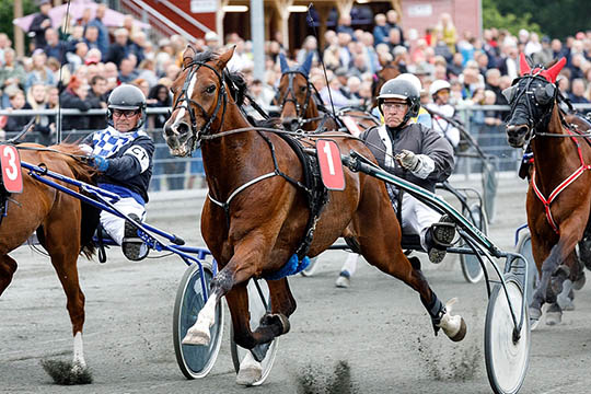 Sejrshest havde ikke lyst til l�b l�ngere