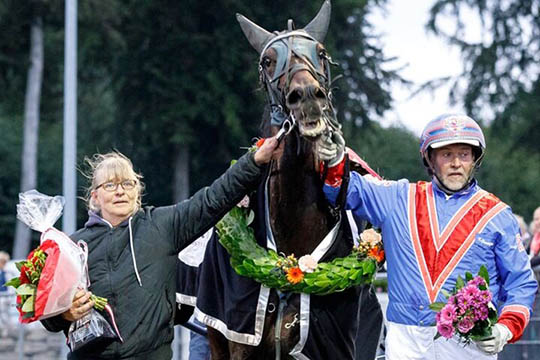 Topl�b af bornholmerhest i Malm�