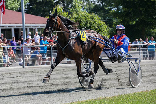 Jetset Onion fravalgt til Bornholm til fordel for Sverige