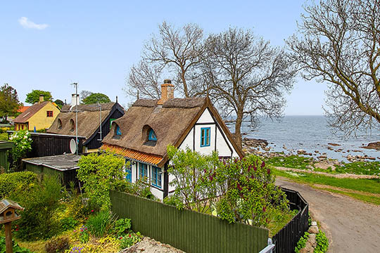 Bondeidyl ved Listeds klippekyst