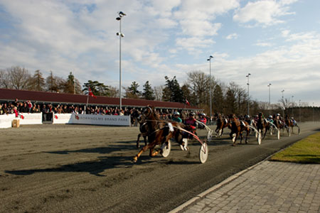 Svensk hurtigtraver debuterer p� Bornholm p� s�ndag