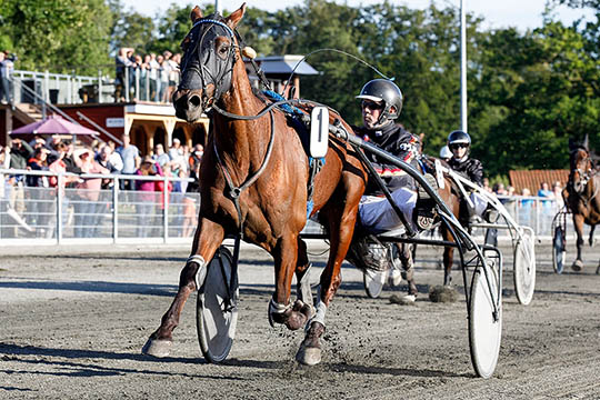 Lundens travskole handler igen p� Bornholm