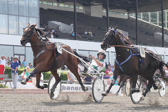 Jankersulky i l�b p� Bornholm