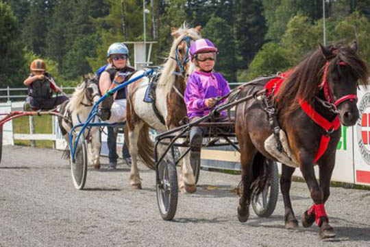 Travbanen vil arrangere b�rnef�dselsdage