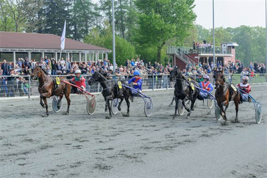 Tophest debuterer i mont� p� Bornholm