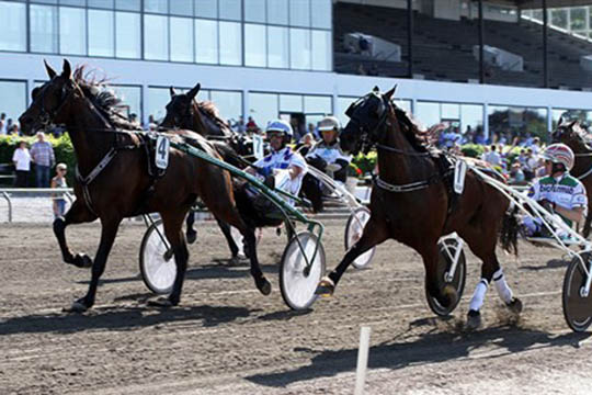 Baloo Ice til tops i hovedstaden