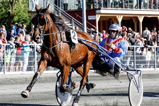 Travhest g�r tredje start i Sverige