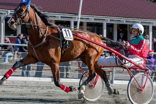 Bent Dahl stopper opdr�t af travheste