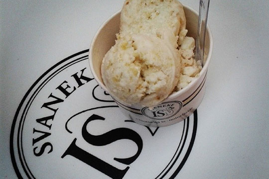 Nyt underskud hos Svaneke Is