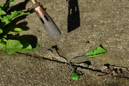 60-�rig overtr�dte beredskabsloven