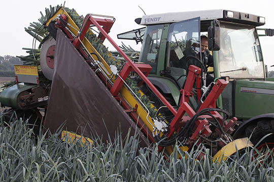 Svaneke Gr�nt mangler kapital