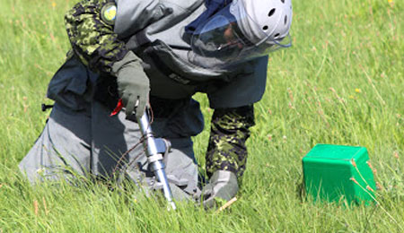 Fandt patron i have i Sandvig