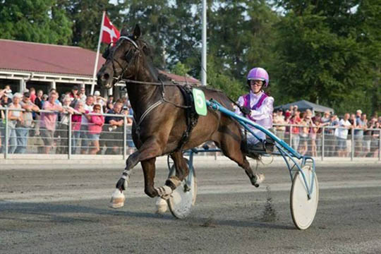 Karant�ner id�mt p� travbanen i aftes