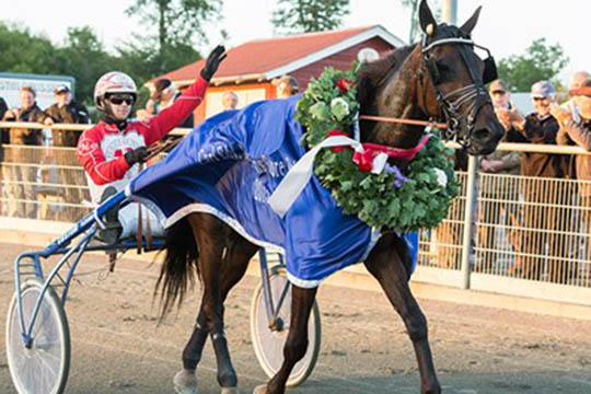 Sejrshesten Silver Game har forladt jorden