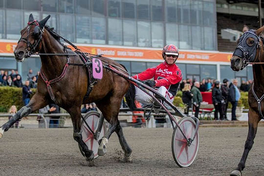 Bornholmsk derbyfavorit stort sl�et i Sverige