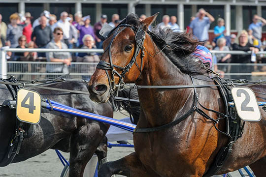 Intensiv Power Hour p� travbanen