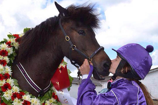 Landets bedste ponytraver til Bornholm