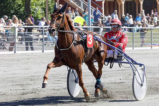 To heste udg�et p� travbanen i aften